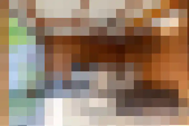 Populierenlaan 42 Groningen thumbnail 32