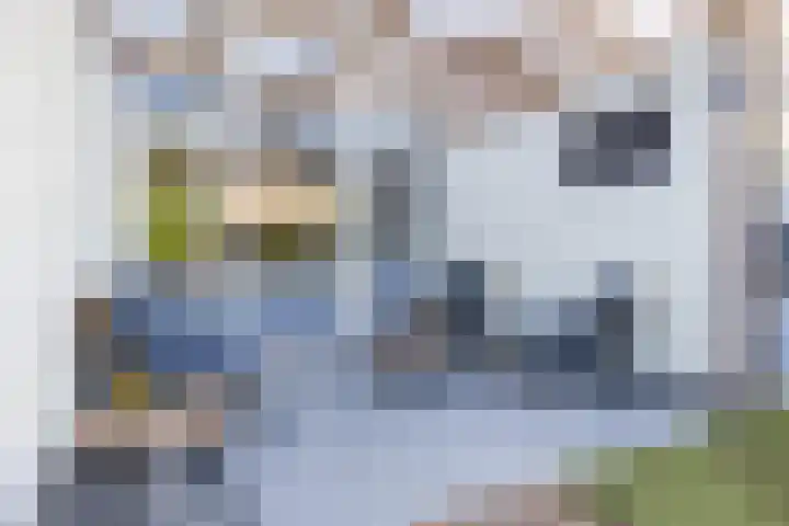 Populierenlaan 42 Groningen thumbnail 38