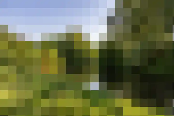 Populierenlaan 42 Groningen thumbnail 4