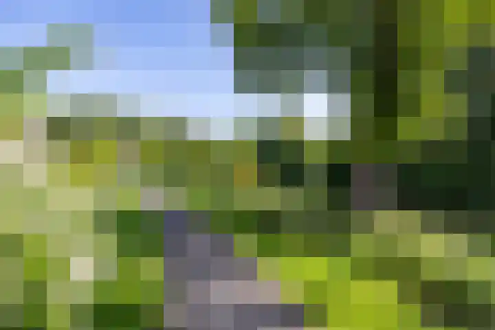 Populierenlaan 42 Groningen thumbnail 54