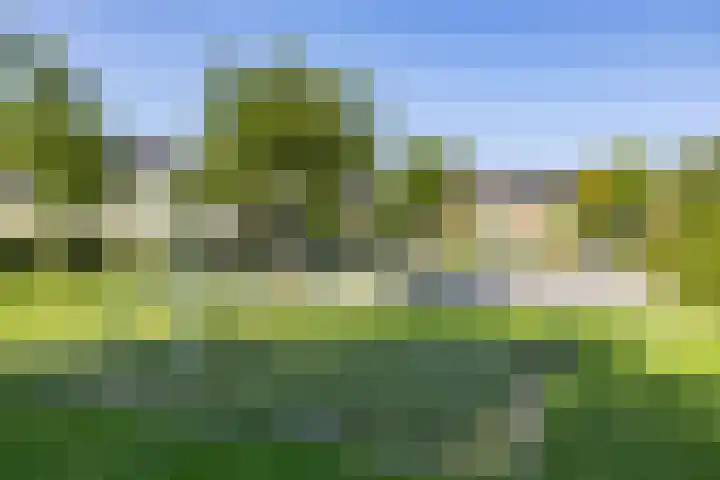 Populierenlaan 42 Groningen thumbnail 55