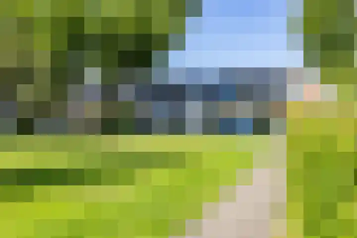 Populierenlaan 42 Groningen thumbnail 6