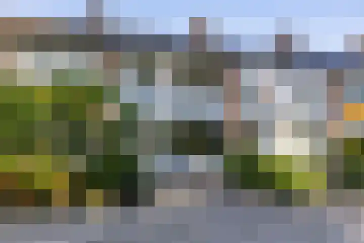 Populierenlaan 42 Groningen thumbnail 61