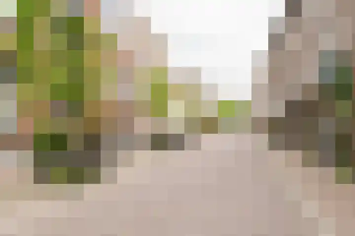Populierenlaan 437 Amstelveen thumbnail 19