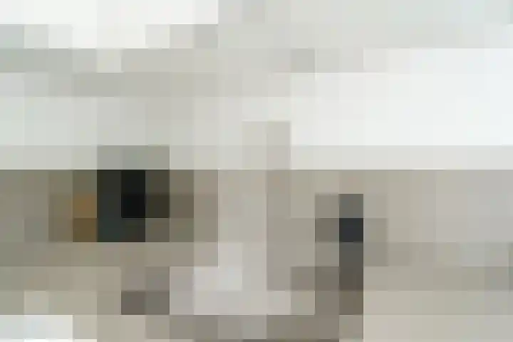 Populierenlaan 437 Amstelveen thumbnail 7