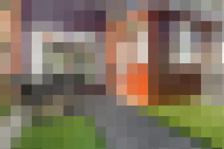 Populierenlaan 44 Amstelveen thumbnail 41