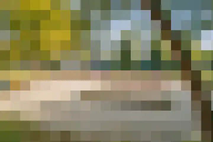 Populierenlaan 44 Amstelveen thumbnail 45