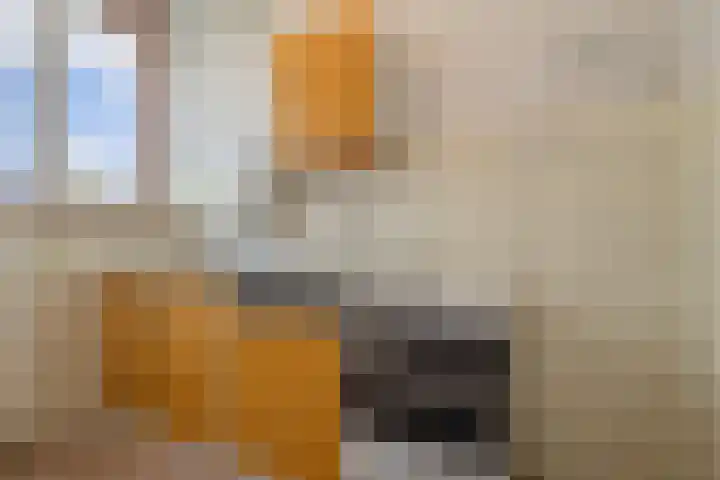 Populierenlaan 447 Amstelveen thumbnail 10
