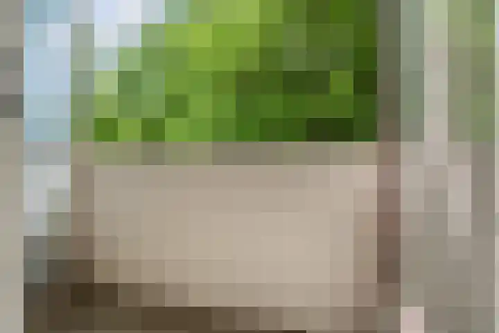 Populierenlaan 447 Amstelveen thumbnail 4