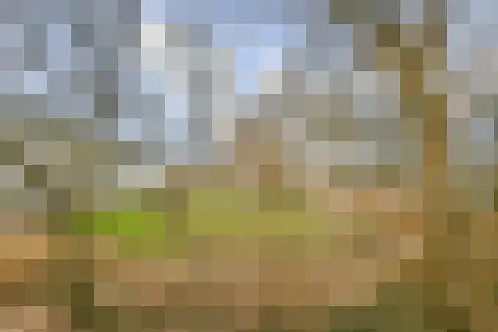 Populierenlaan 45 Amstelveen thumbnail 5