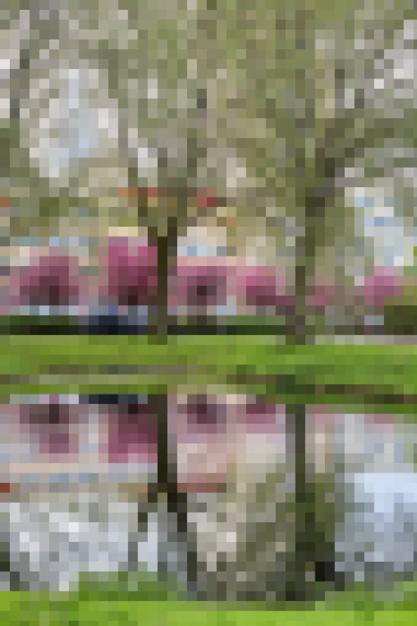 Populierenlaan 46 Amstelveen thumbnail 28