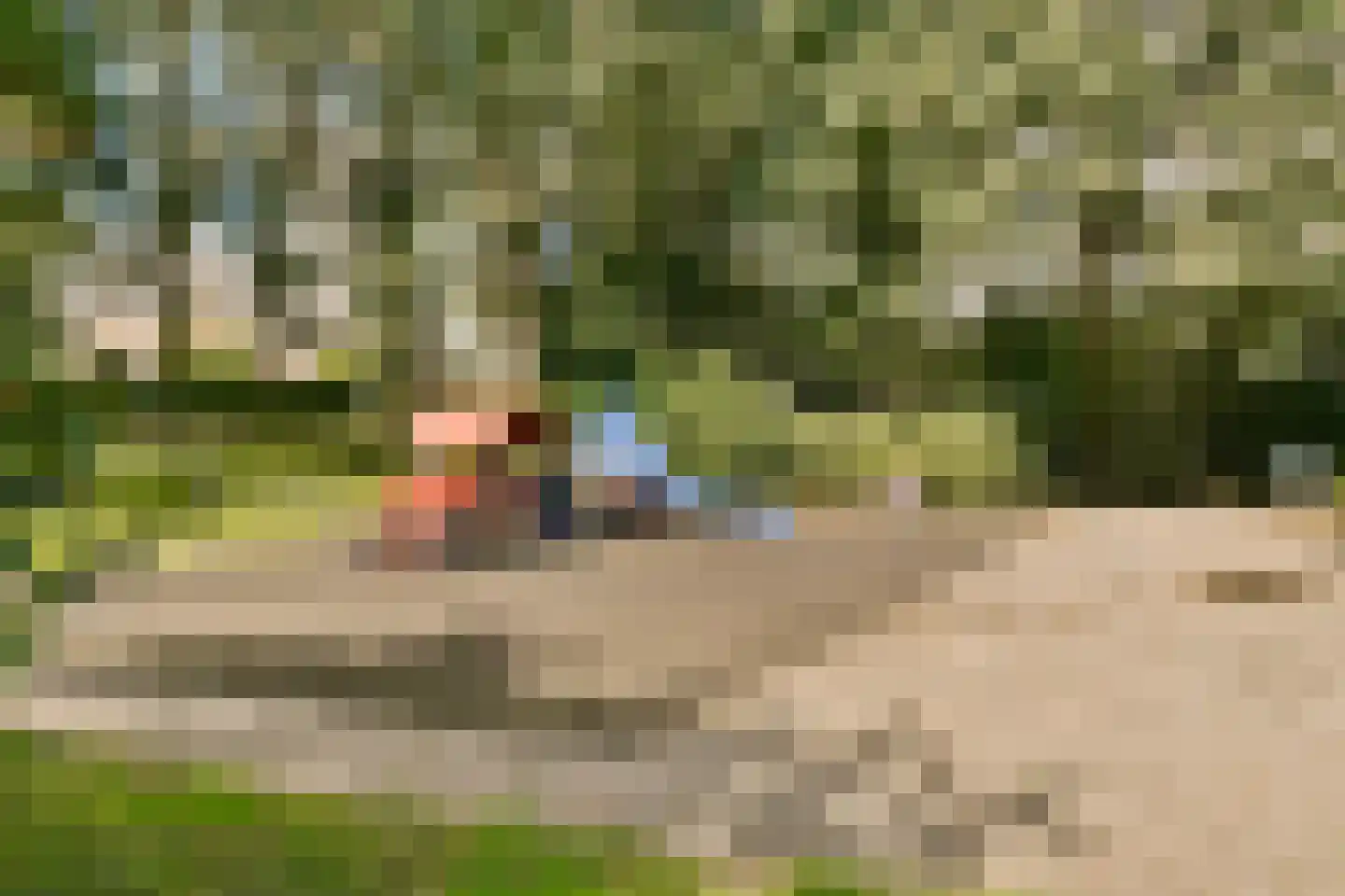 Populierenlaan 463 Amstelveen thumbnail 23
