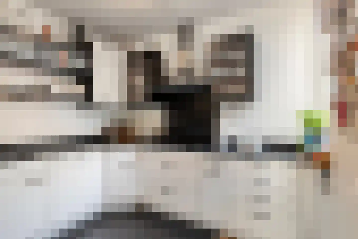 Populierenlaan 47 Krimpen aan den IJssel thumbnail 11