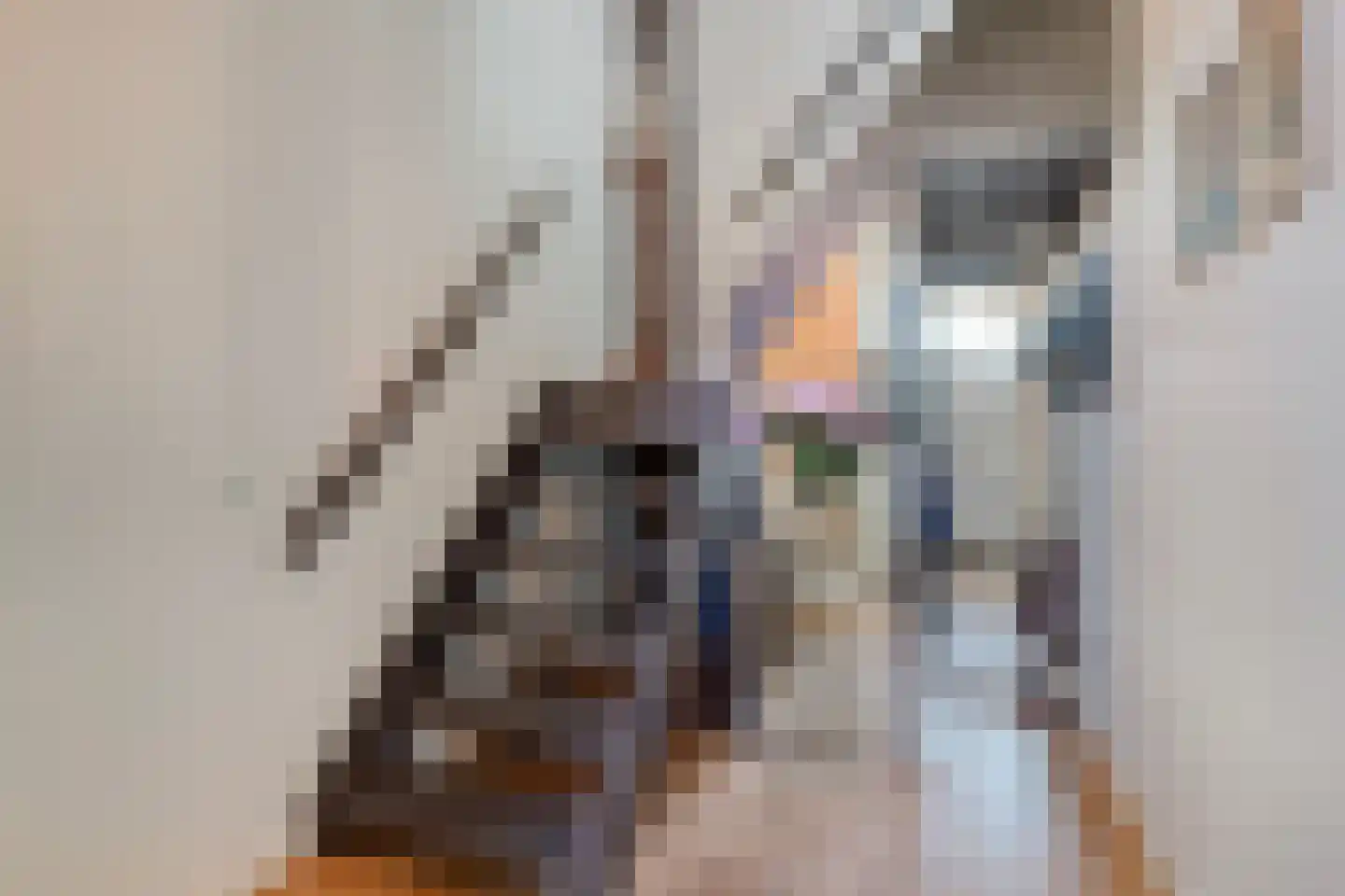 Populierenlaan 47 Krimpen aan den IJssel thumbnail 13