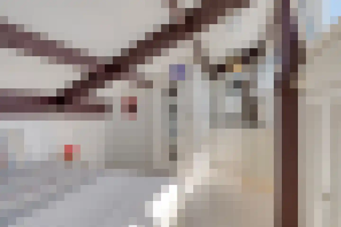 Populierenlaan 47 Krimpen aan den IJssel thumbnail 28