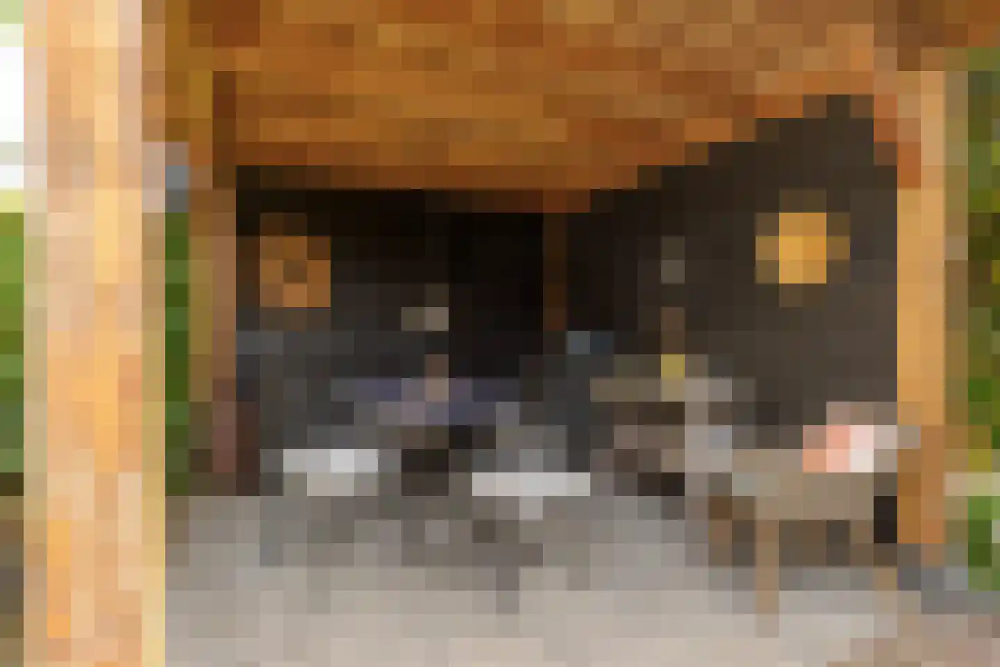 Populierenlaan 47 Krimpen aan den IJssel thumbnail 34
