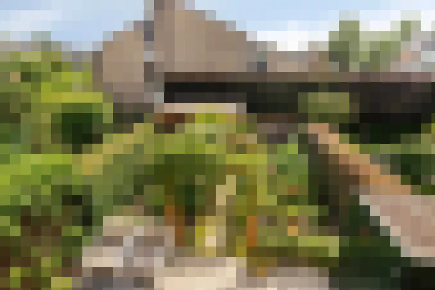 Populierenlaan 47 Krimpen aan den IJssel thumbnail 36