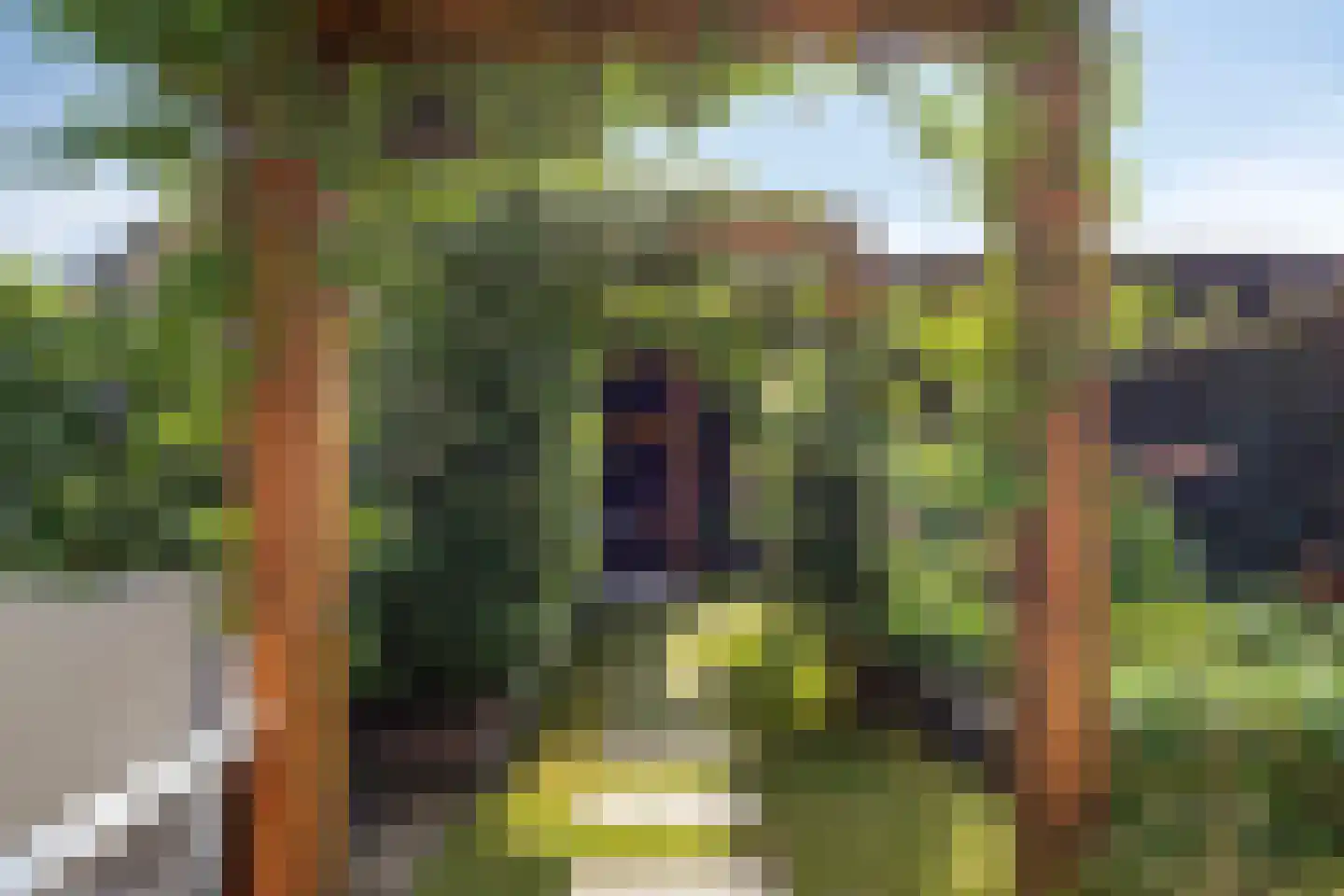 Populierenlaan 47 Krimpen aan den IJssel thumbnail 37