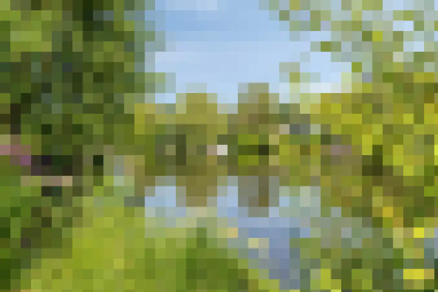Populierenlaan 47 Krimpen aan den IJssel thumbnail 40