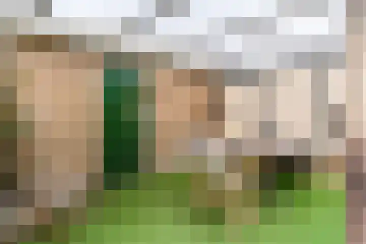Populierenlaan 48 Uitgeest thumbnail 24