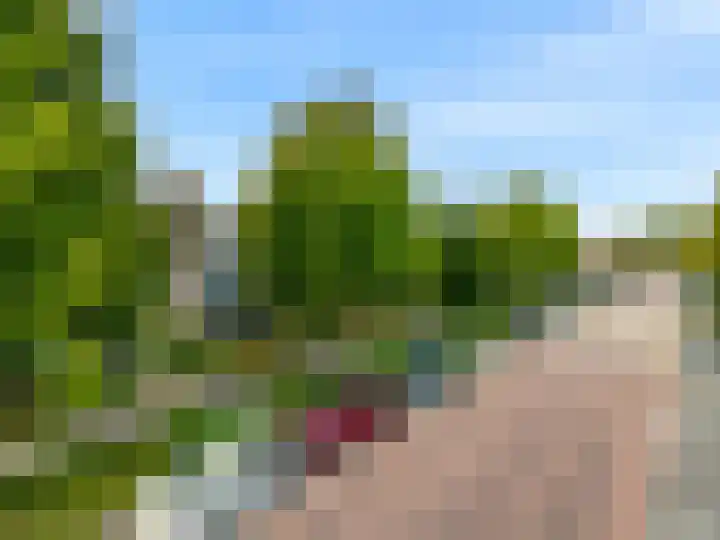 Populierenlaan 48 Uitgeest thumbnail 32