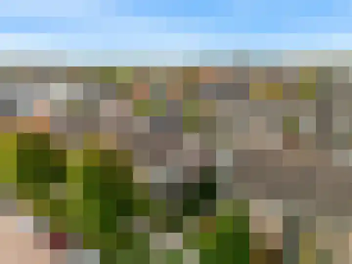 Populierenlaan 48 Uitgeest thumbnail 34