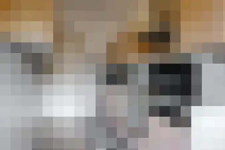 Populierenlaan 48 Uitgeest thumbnail 9