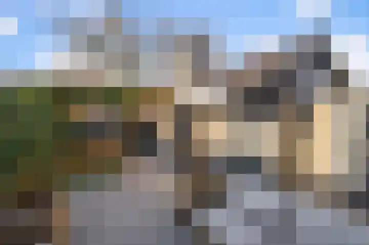 Populierenlaan 5 A Beverwijk thumbnail 13
