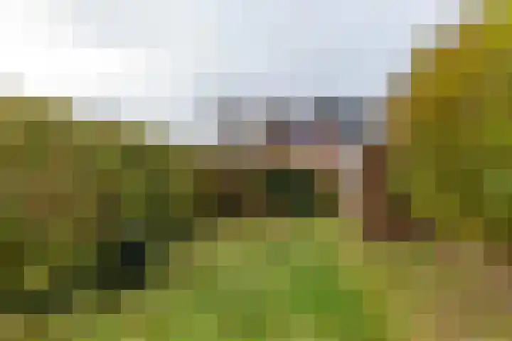 Populierenlaan 50 Groningen thumbnail 37