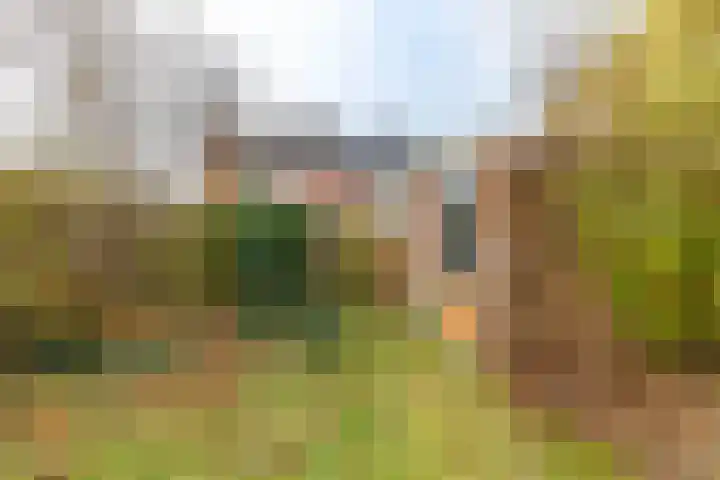 Populierenlaan 50 Groningen thumbnail 38
