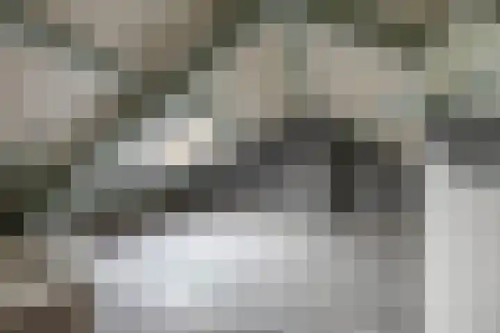 Populierenlaan 50 Groningen thumbnail 4