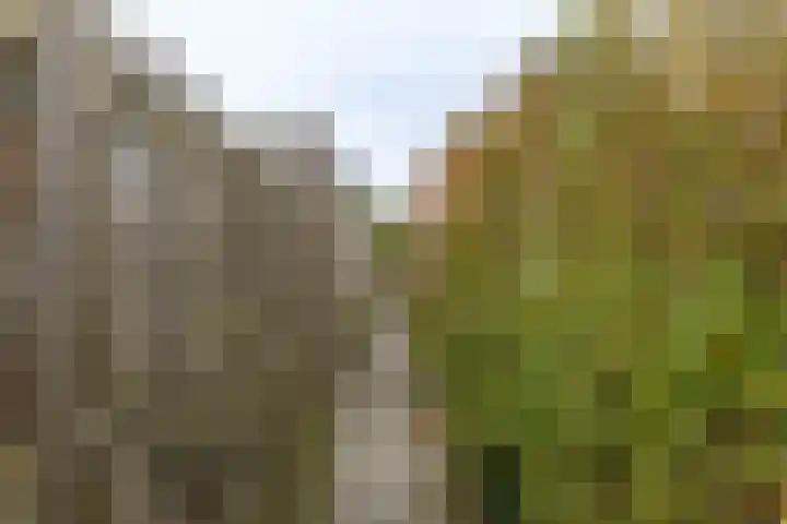 Populierenlaan 50 Groningen thumbnail 40