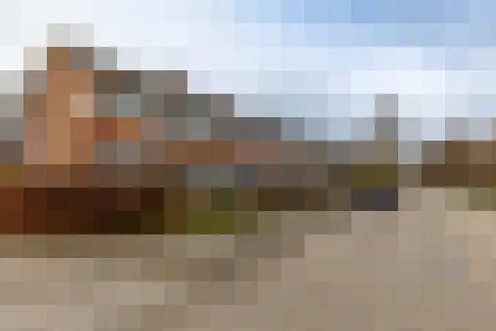 Populierenlaan 50 Groningen thumbnail 41