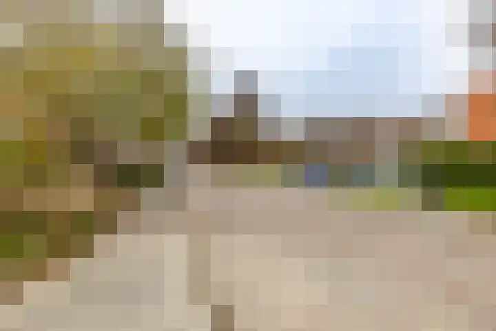 Populierenlaan 50 Groningen thumbnail 42