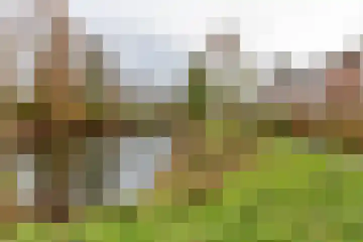 Populierenlaan 50 Groningen thumbnail 43