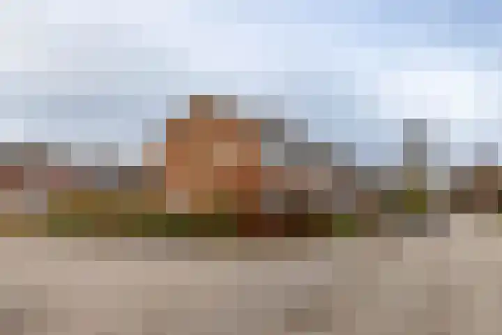 Populierenlaan 50 Groningen thumbnail 6