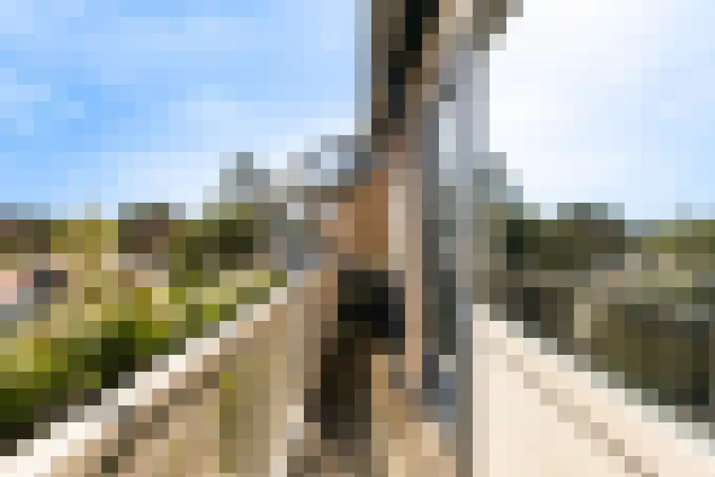 Populierenlaan 50 Krimpen aan den IJssel thumbnail 30