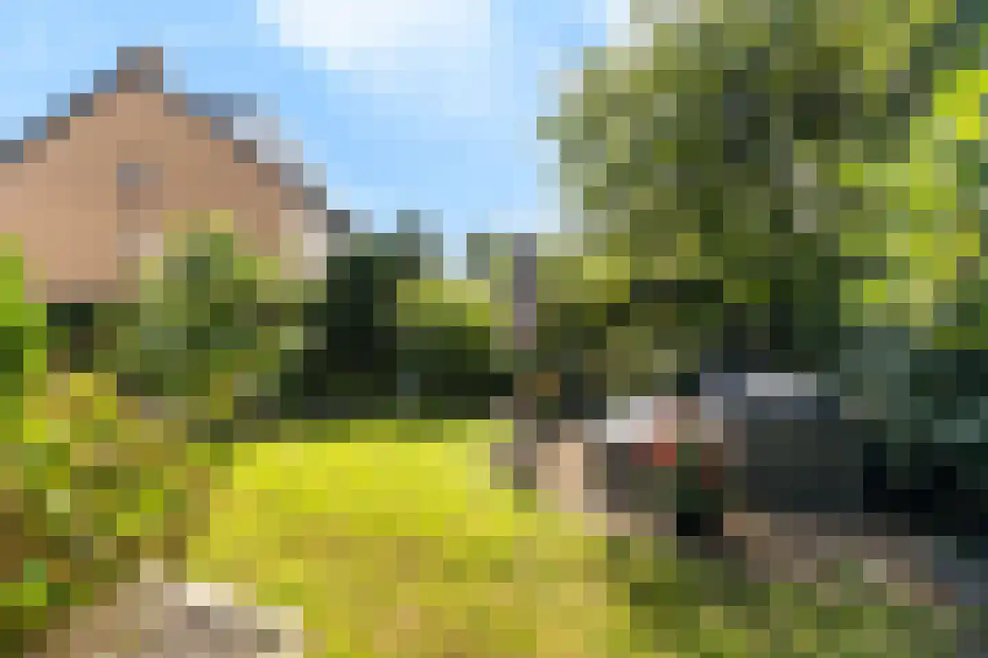 Populierenlaan 50 Krimpen aan den IJssel thumbnail 44