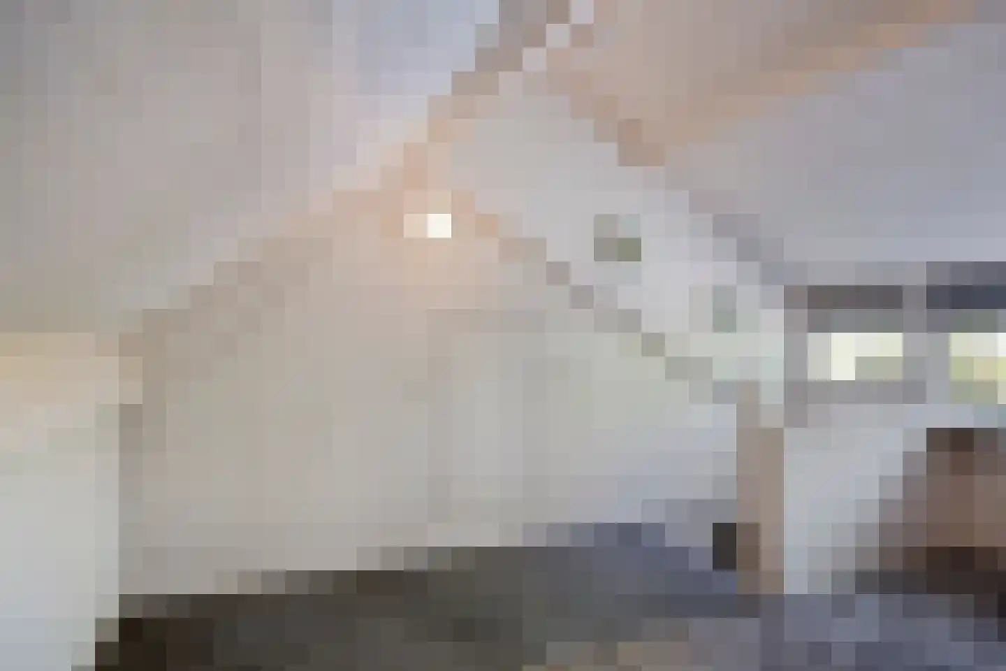 Populierenlaan 50 Sint-Oedenrode thumbnail 40