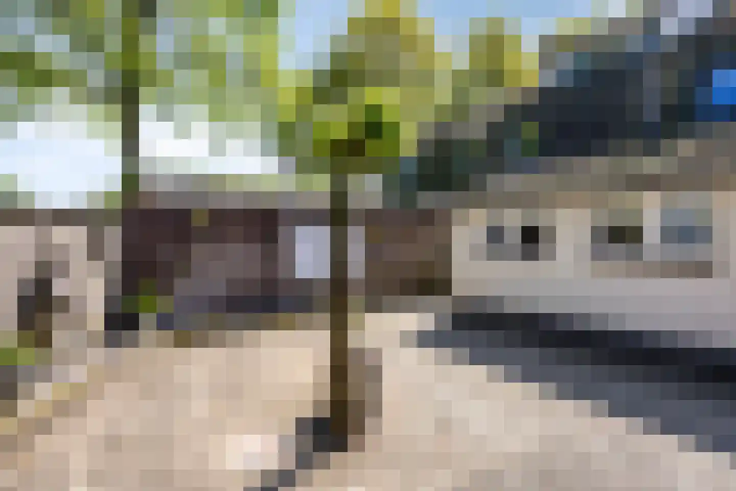 Populierenlaan 50 Sint-Oedenrode thumbnail 46
