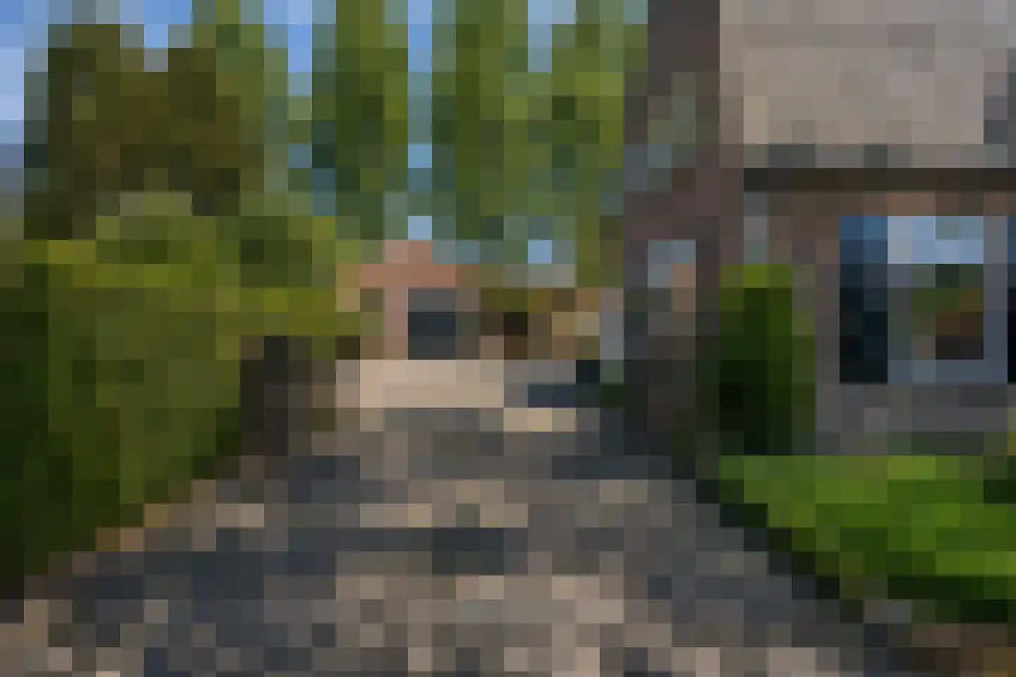 Populierenlaan 50 Sint-Oedenrode thumbnail 50