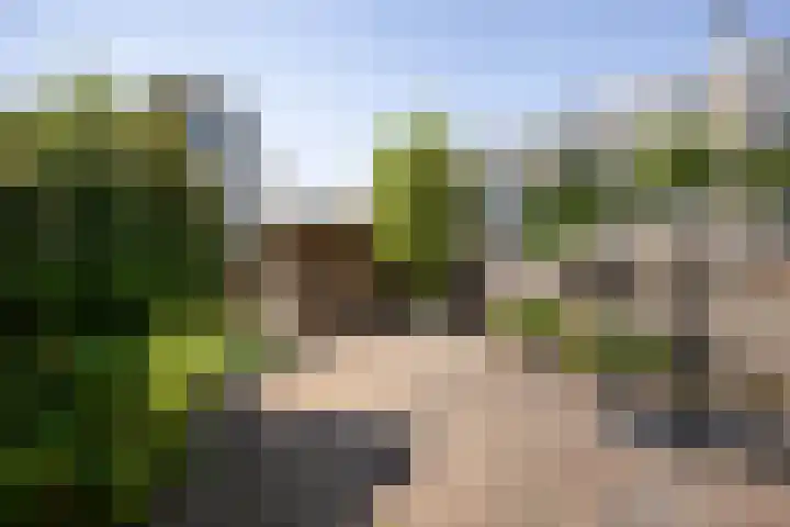 Populierenlaan 50 Zwanenburg thumbnail 15