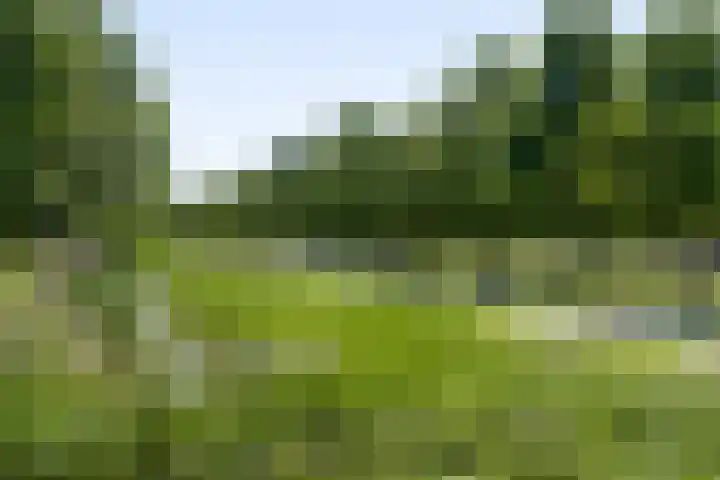 Populierenlaan 50 Zwanenburg thumbnail 25