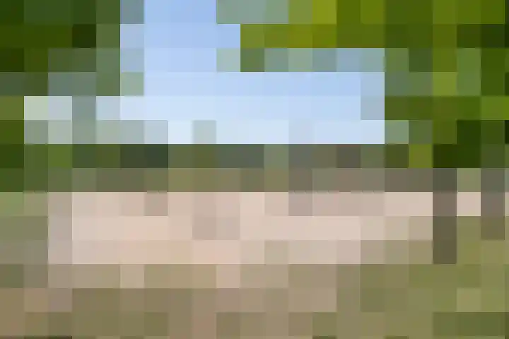 Populierenlaan 50 Zwanenburg thumbnail 26