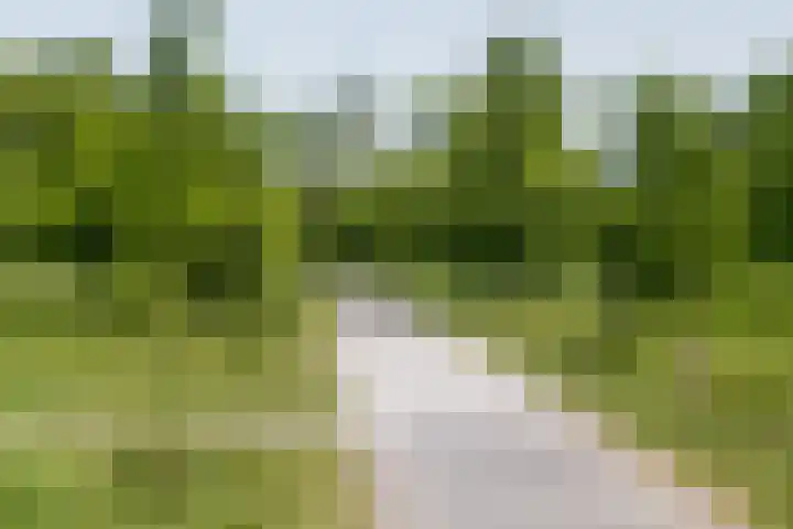 Populierenlaan 50 Zwanenburg thumbnail 27