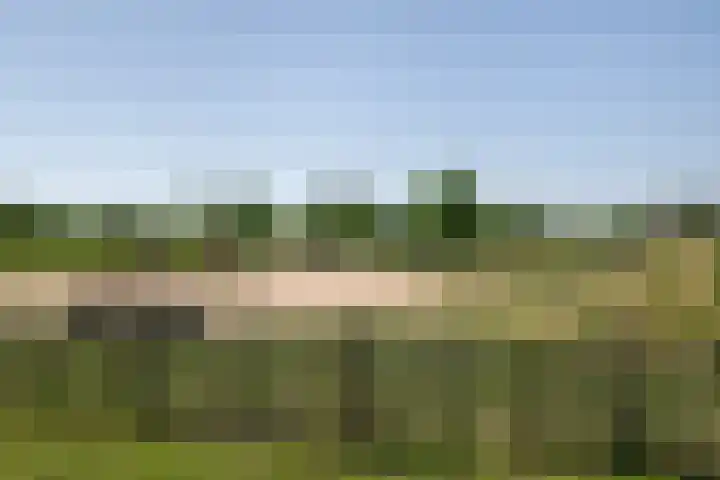 Populierenlaan 50 Zwanenburg thumbnail 28