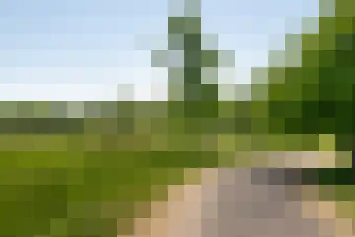 Populierenlaan 50 Zwanenburg thumbnail 29