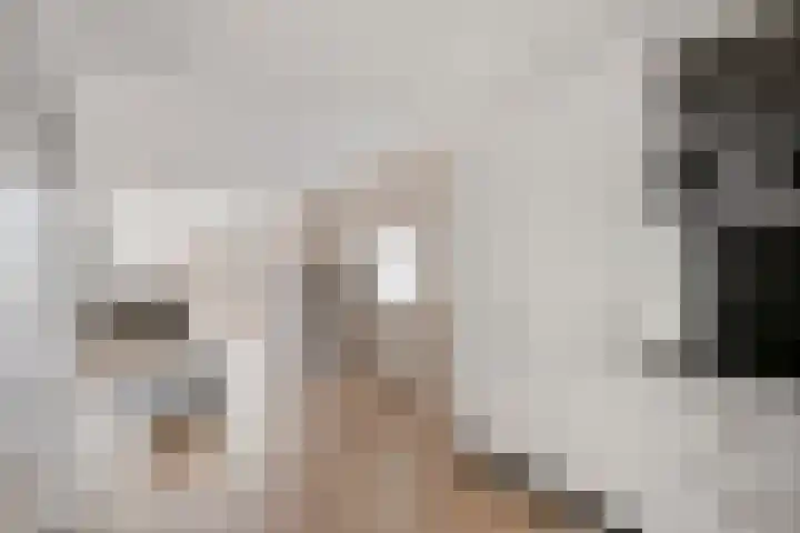 Populierenlaan 50 Zwanenburg thumbnail 4