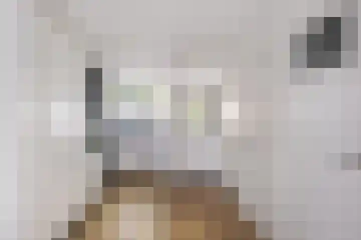 Populierenlaan 50 Zwanenburg thumbnail 7