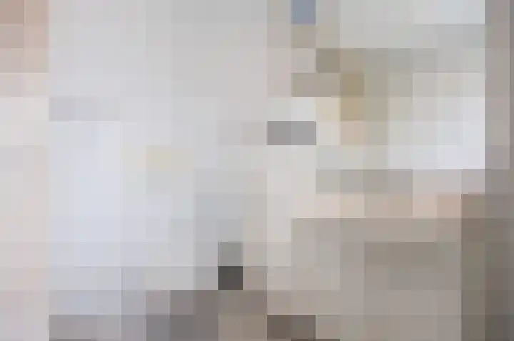 Populierenlaan 52 Groningen thumbnail 36